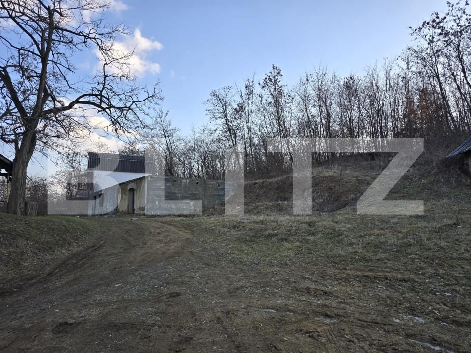 Teren de vânzare Sud - 166231TV | BLITZ Satu Mare | Poza21