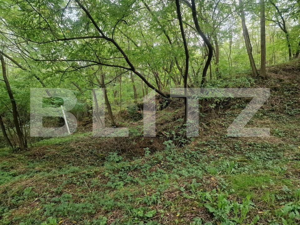 Teren de vânzare Sud - 166231TV | BLITZ Satu Mare | Poza9