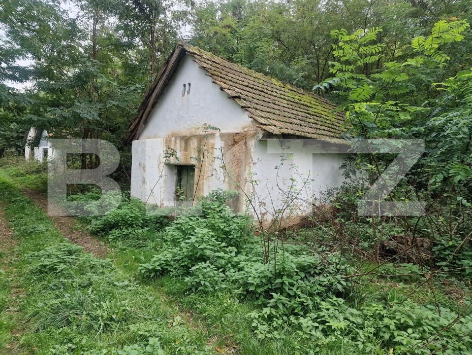 Teren de vânzare Sud - 166231TV | BLITZ Satu Mare | Poza8