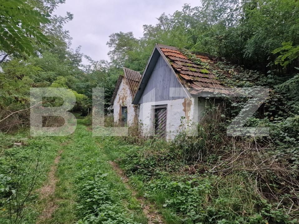 Teren de vânzare Sud - 166231TV | BLITZ Satu Mare | Poza2