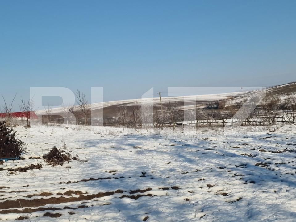 Teren de vânzare Sud - 166231TV | BLITZ Satu Mare | Poza5