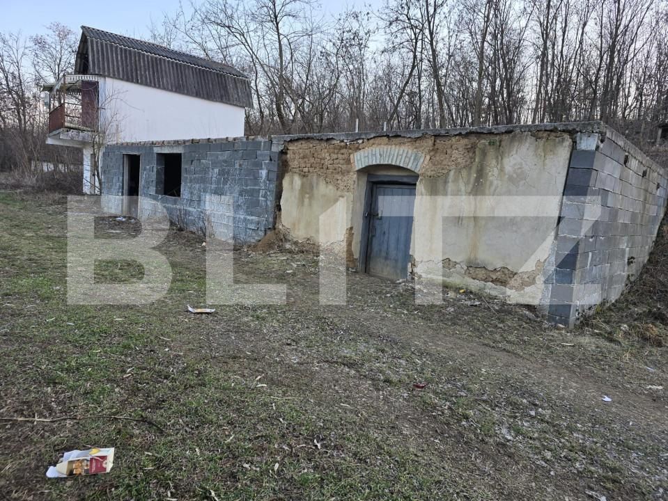 Teren de vânzare Sud - 166231TV | BLITZ Satu Mare | Poza13