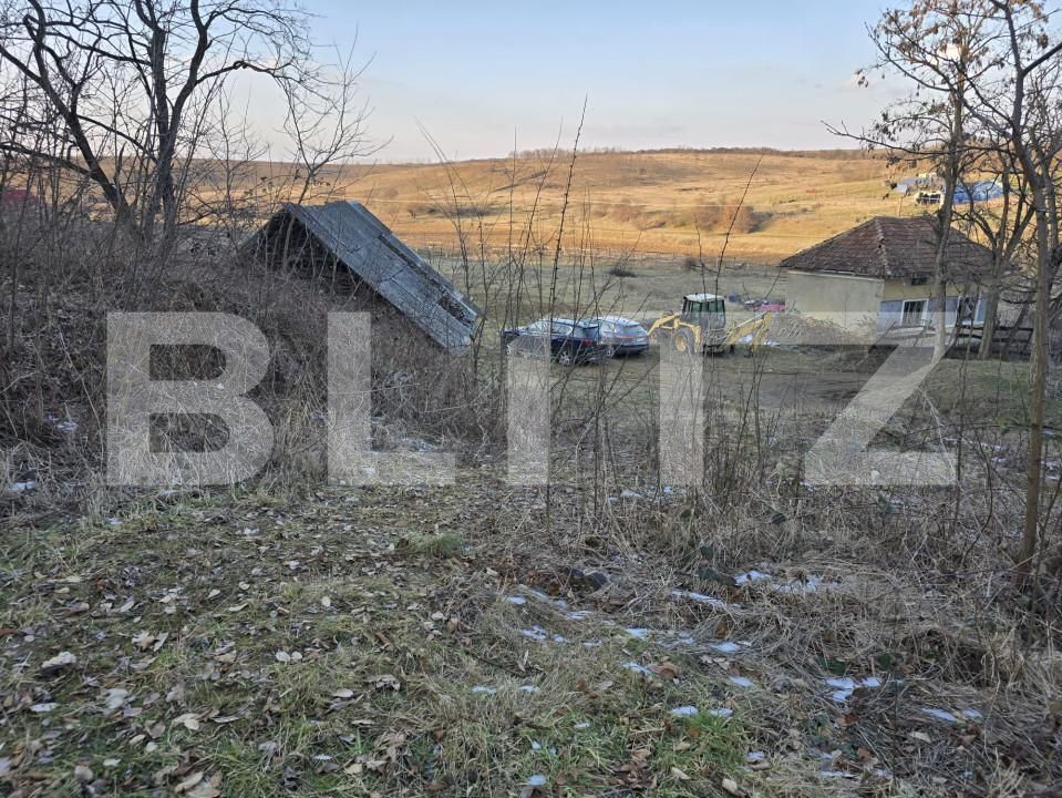 Teren de vânzare Sud - 166231TV | BLITZ Satu Mare | Poza18
