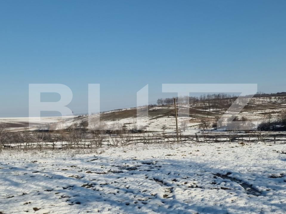 Teren de vânzare Sud - 166231TV | BLITZ Satu Mare | Poza7