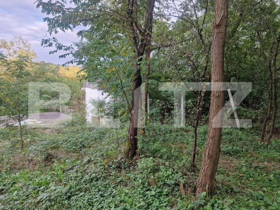 Teren de vânzare Sud - 166231TV | BLITZ Satu Mare | Poza10