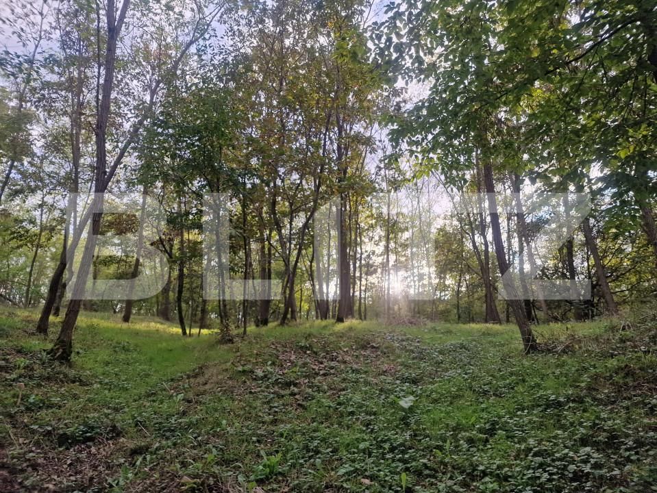 Teren de vânzare Sud - 166231TV | BLITZ Satu Mare | Poza11