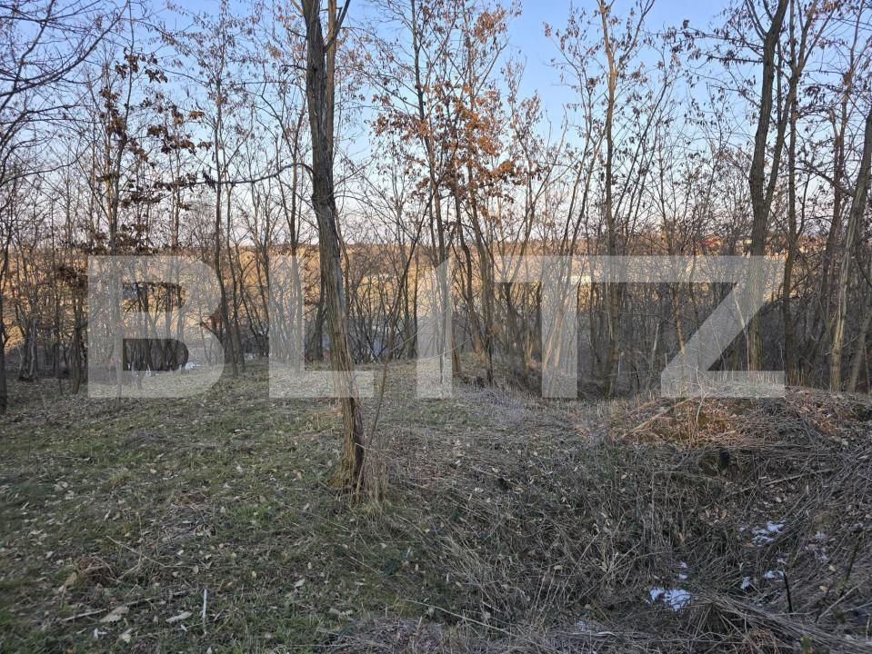 Teren de vânzare Sud - 166231TV | BLITZ Satu Mare | Poza20
