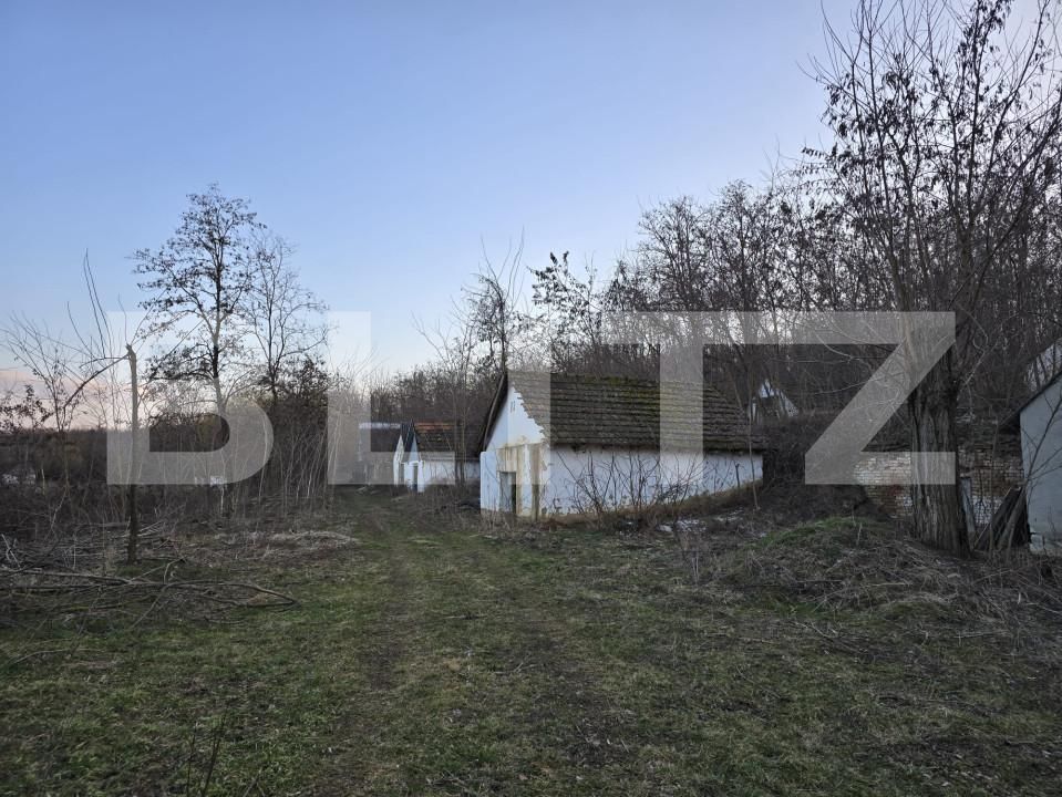 Teren de vânzare Sud - 166231TV | BLITZ Satu Mare | Poza12