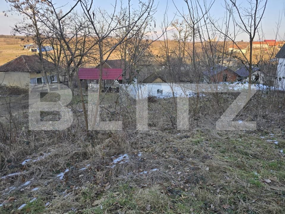 Teren de vânzare Sud - 166231TV | BLITZ Satu Mare | Poza16
