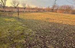 teren intravilan 6,52 ari cu cabana zona Păulești