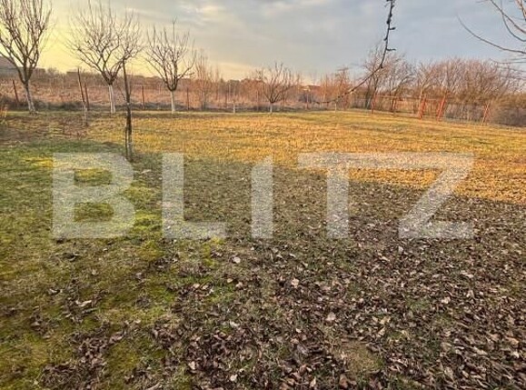 Teren de vânzare Exterior Nord - 166233TV | BLITZ Satu Mare | Poza2