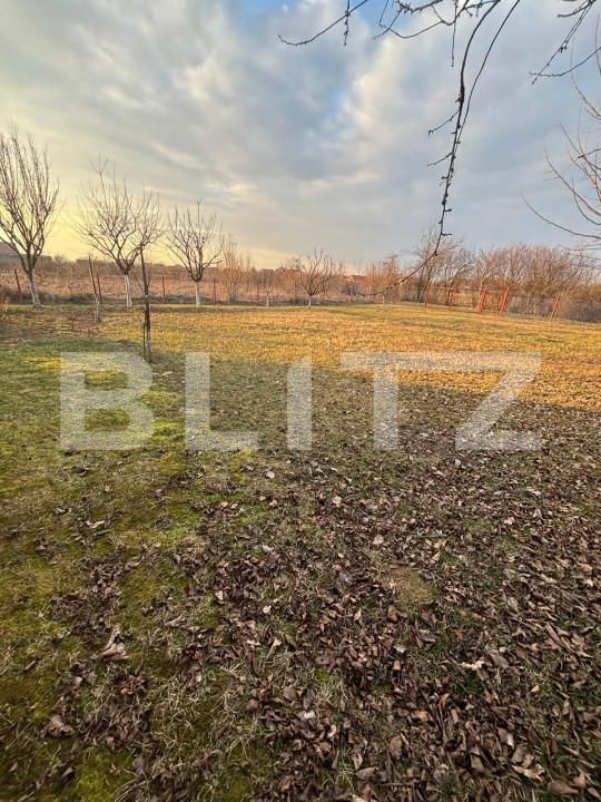 Teren de vânzare Exterior Nord - 166233TV | BLITZ Satu Mare | Poza2