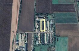 Hală Industrială în Localitatea Botiz – 1200 mp