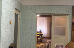 Casă 5 camere 360 mp, Zona Ștrandului