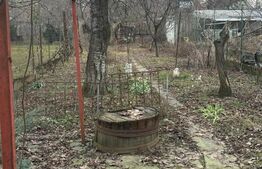 Casă 5 camere 360 mp, Zona Ștrandului