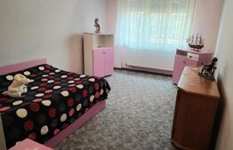 Casa de vanzare, suprafata 300 mp, zona 14 Mai 