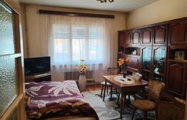 Casa de vanzare, suprafata 300 mp, zona 14 Mai 