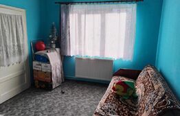 Casa de vanzare, suprafata 300 mp, zona 14 Mai 