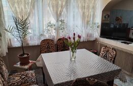 Casa de vanzare, suprafata 300 mp, zona 14 Mai 