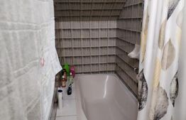 Casa de vanzare, suprafata 300 mp, zona 14 Mai 