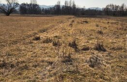 Teren extravilan de vanzare, 40 ARI, zona Racsa