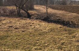 Teren extravilan de vanzare, 40 ARI, zona Racsa