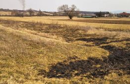 Teren extravilan de vanzare, 40 ARI, zona Racsa