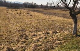 Teren extravilan de vanzare, 40 ARI, zona Racsa