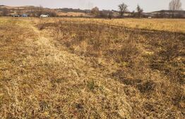 Teren extravilan de vanzare, 40 ARI, zona Racsa