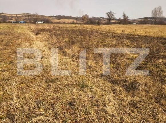 Teren de vânzare Exterior Est - 166818TV | BLITZ Satu Mare | Poza3