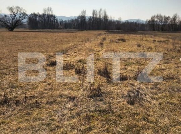 Teren de vânzare Exterior Est - 166818TV | BLITZ Satu Mare | Poza6