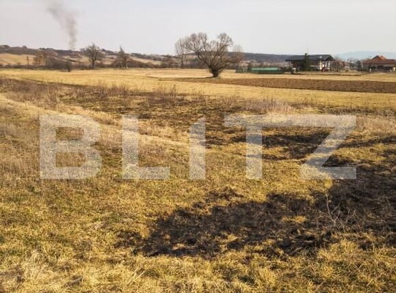 Teren de vânzare Exterior Est - 166818TV | BLITZ Satu Mare | Poza5