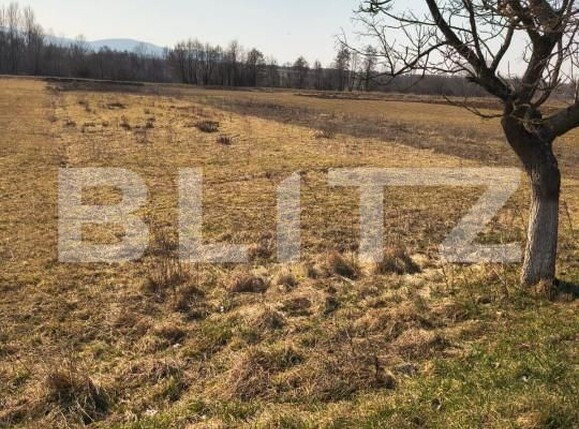 Teren de vânzare Exterior Est - 166818TV | BLITZ Satu Mare | Poza1