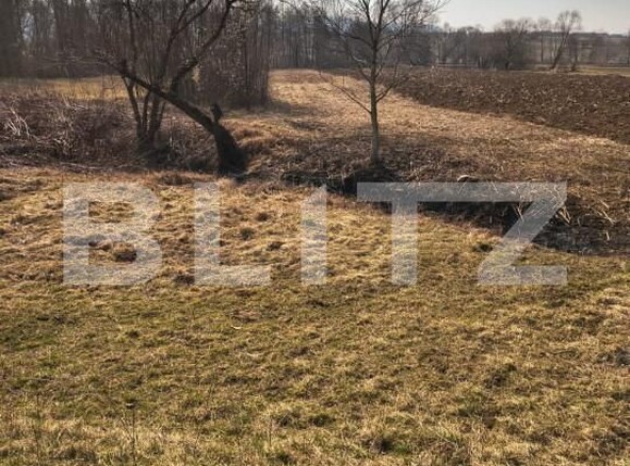 Teren de vânzare Exterior Est - 166818TV | BLITZ Satu Mare | Poza4