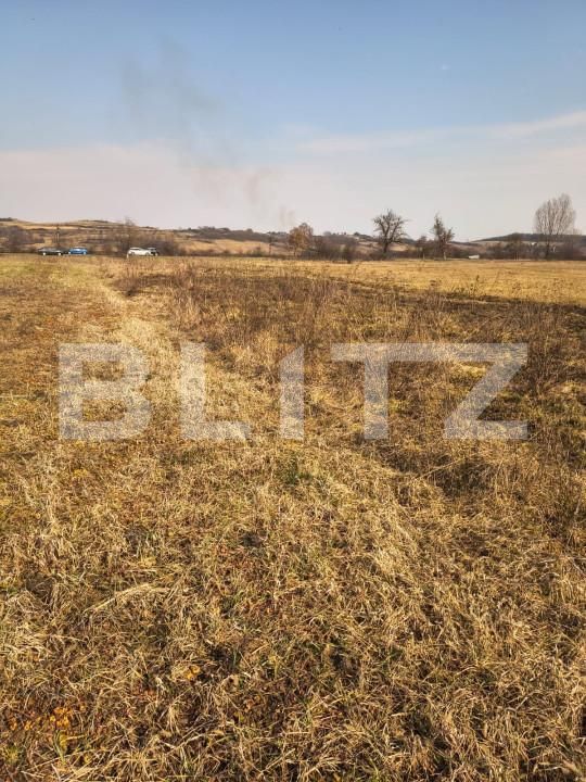 Teren de vânzare Exterior Est - 166818TV | BLITZ Satu Mare | Poza3
