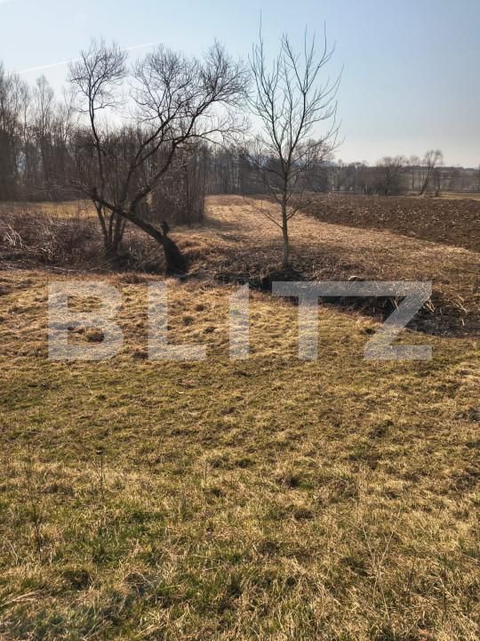 Teren de vânzare Exterior Est - 166818TV | BLITZ Satu Mare | Poza4