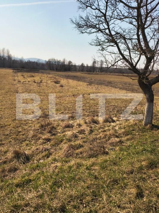 Teren de vânzare Exterior Est - 166818TV | BLITZ Satu Mare | Poza1
