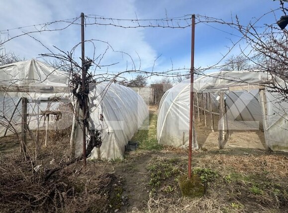 Casa de vânzare 3 camere 14 Mai - 167289CV | BLITZ Satu Mare | Poza12