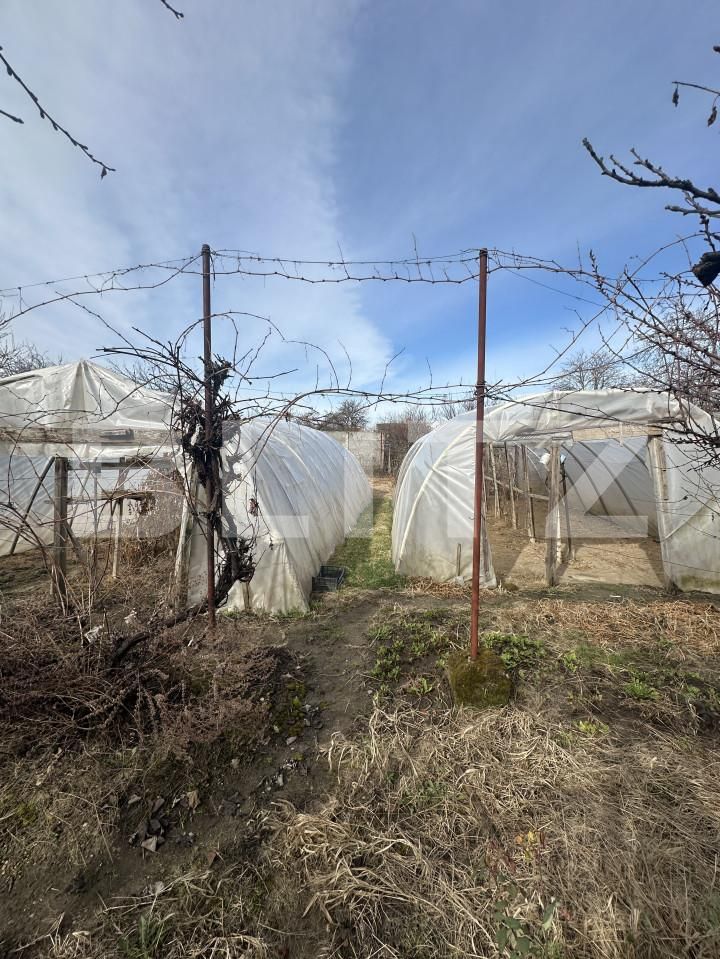 Casa de vânzare 3 camere 14 Mai - 167289CV | BLITZ Satu Mare | Poza12