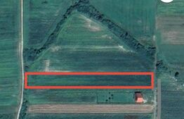 Teren intravilan în Viile Satu Mare, 4680 mp 