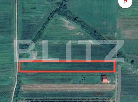 Teren de vânzare Viile Satu Mare - 167396TV | BLITZ Satu Mare | Poza1