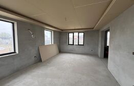 Casă tip P+1, 5 camere, 280 mp, zona strada Aurel Vlaicu