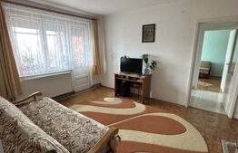 Apartament cu 2 camere, 49 mp, zona Careiului
