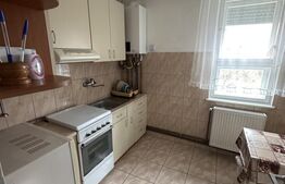 Apartament cu 2 camere, 49 mp, zona Careiului