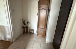 Apartament cu 2 camere, 49 mp, zona Careiului