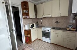 Apartament cu 2 camere, 49 mp, zona Careiului