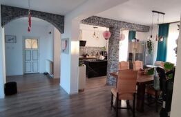 Casa cu 7 camere, 405 mp, in zona Decebal