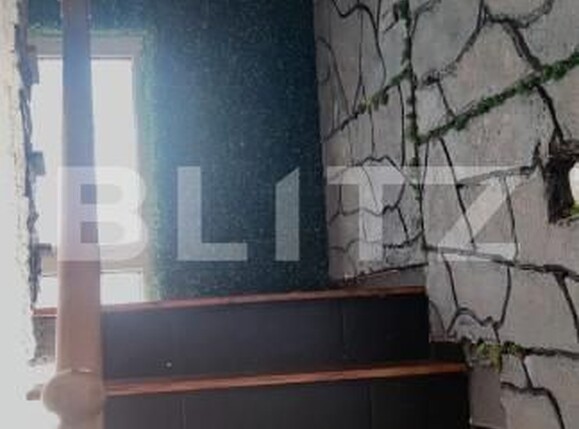 Casa de vânzare 7 camere Exterior Vest - 167628CV | BLITZ Satu Mare | Poza9