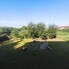 Casa de vânzare 7 camere Decebal - 167628CV - Poza 1 din 17 | BLITZ Satu Mare | Poza15