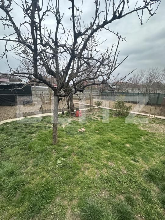 Casa de vânzare 3 camere Titulescu - 167829CV | BLITZ Satu Mare | Poza6